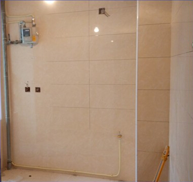 ���ü�ͥ����ȼ������...