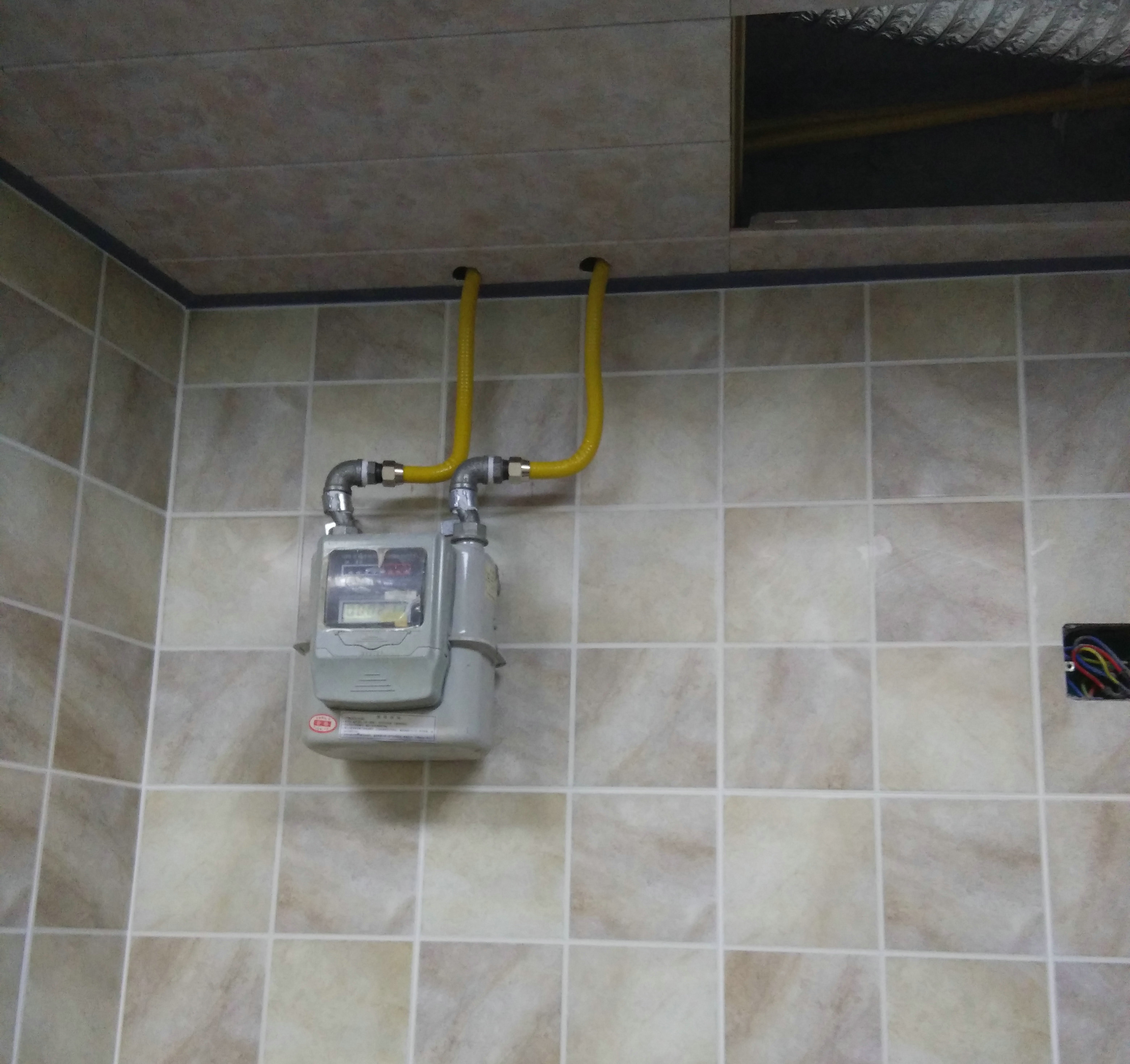 ����ȼ������